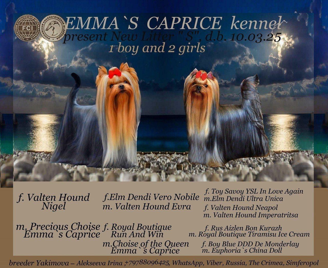  SNT MARIA PROJECT EMMA`S CAPRICE — Labaza DogPedigree YorkshireTerrier